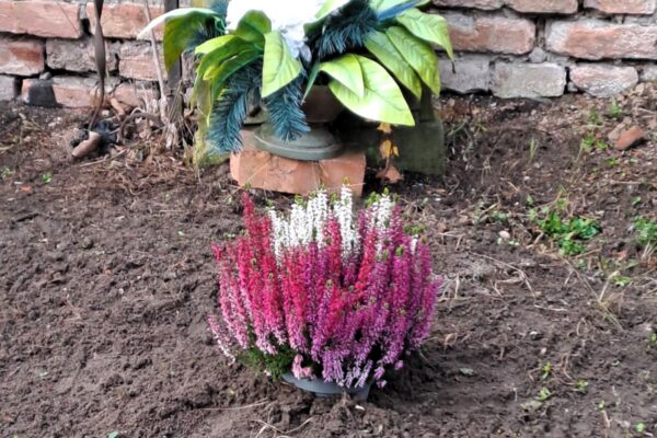 WhatsApp-Image-2025-10-25-at-13.07.103