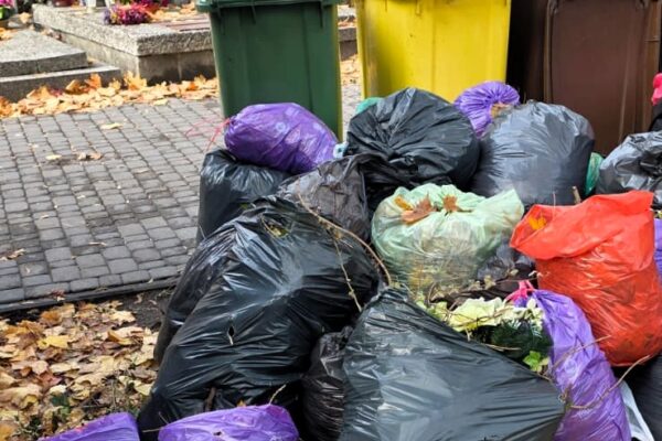 WhatsApp-Image-2025-10-25-at-13.08.231