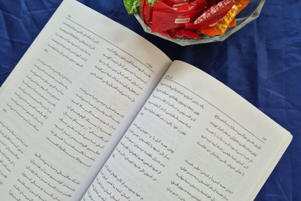 WhatsApp Image 2026-02-22 at 13.20.07