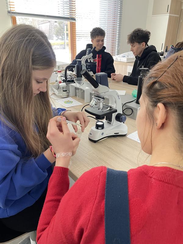 Zajęcia laboratoryjne klasy 3f