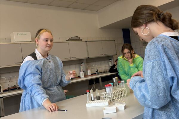 668980399_956168003482436_4132859607230747552_n