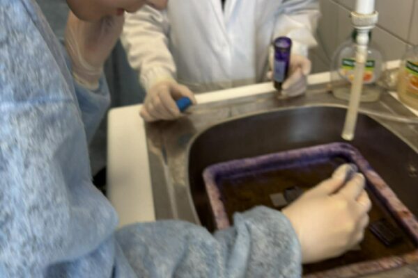 668981043_1520863759553510_3510391053376908460_n