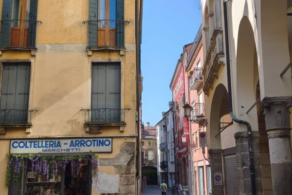 679436768_1617798753687036_7146002375810791863_n