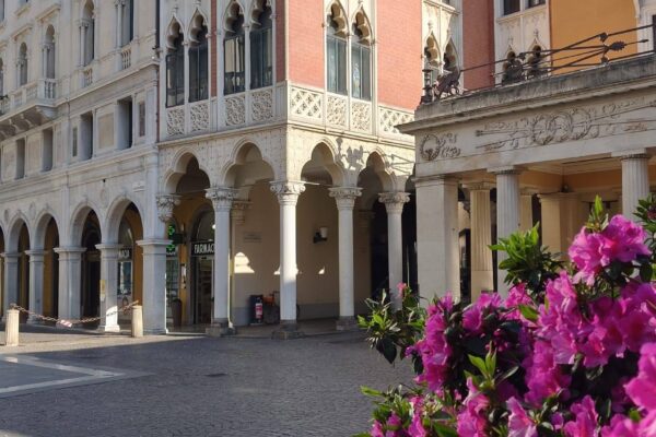 679702228_1617798800353698_2515659068251180193_n