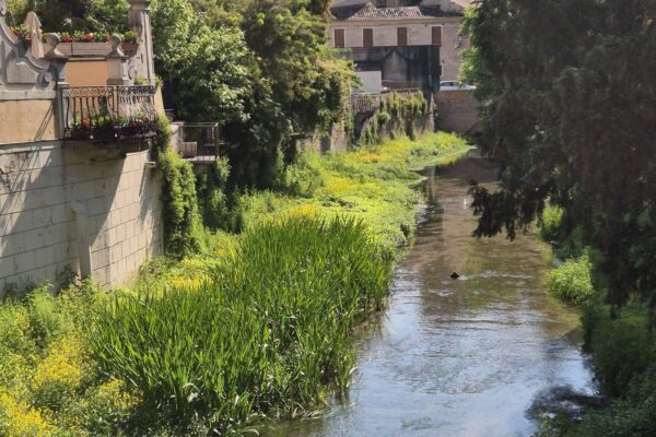 681347666_1617945363672375_1648066887987703492_n