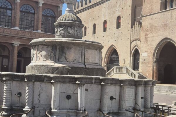 681364812_1619315303535381_3218896174193106258_n