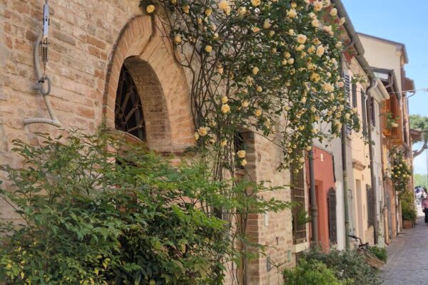 684166152_1619315340202044_846076472179431258_n