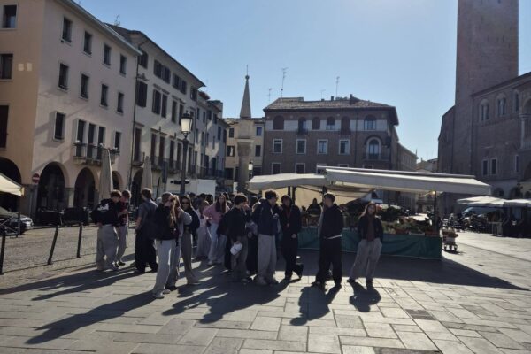 684219631_1617945230339055_3195097770180150068_n