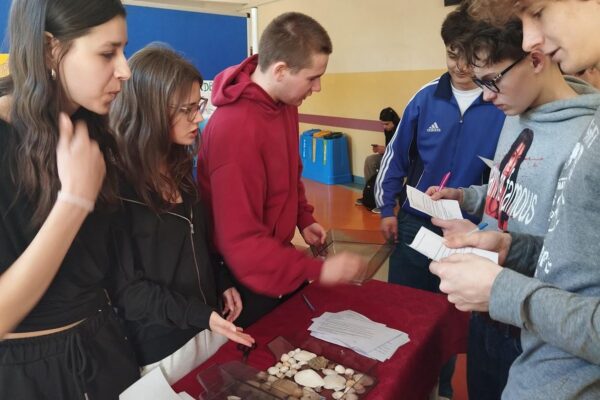 IMG-20260422-WA0024 1