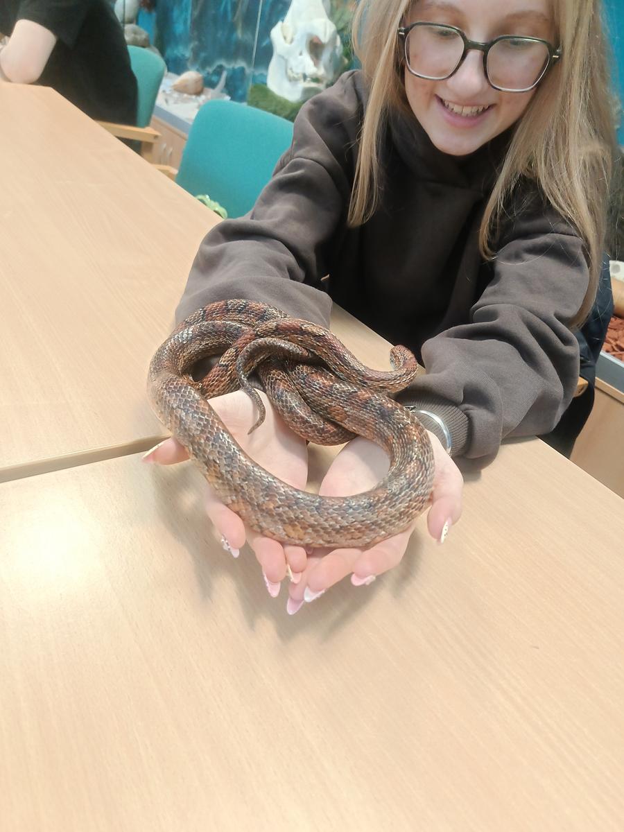 Lekcja biologii w terenie – wizyta w zoo