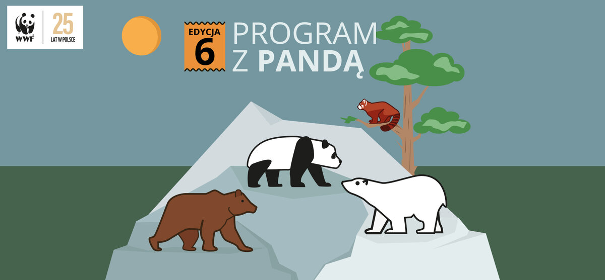 Podsumowanie 6. Edycji Programu z Pandą WWF